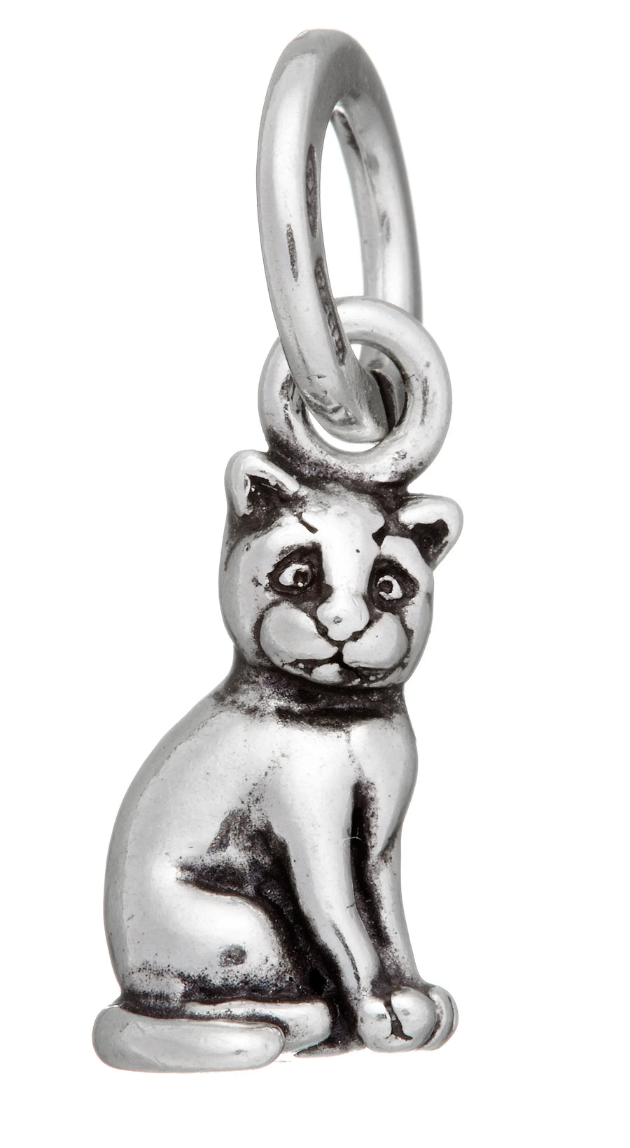 Giovanni Raspini - Charm Gatto