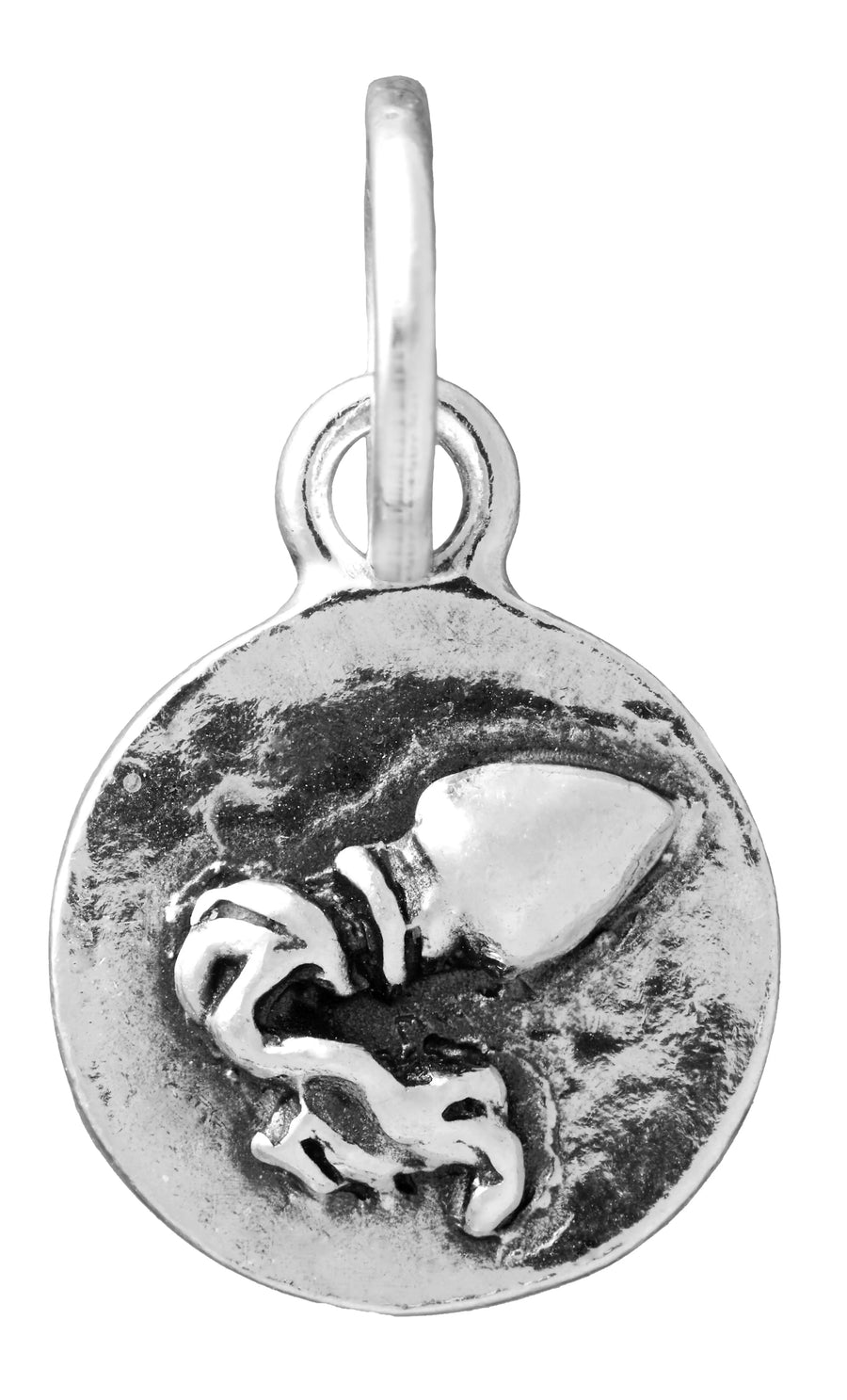 Giovanni Raspini - Charm Acquario Zodiaco