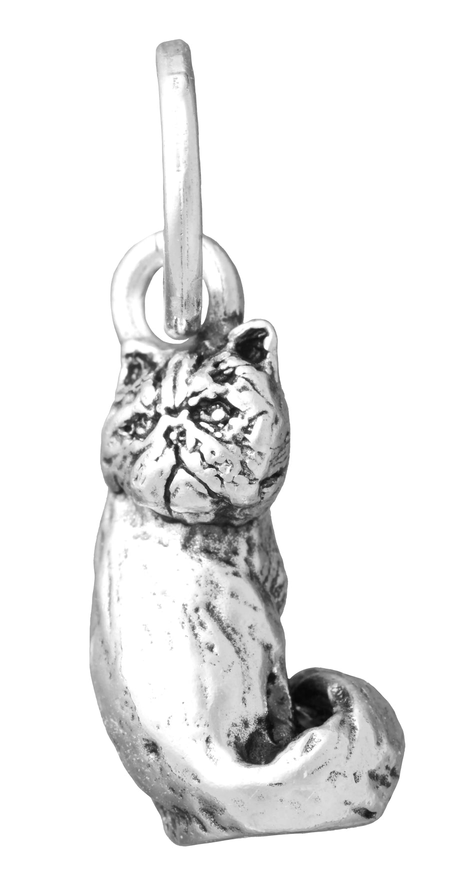 Giovanni Raspini - Charm Gatto Persiano