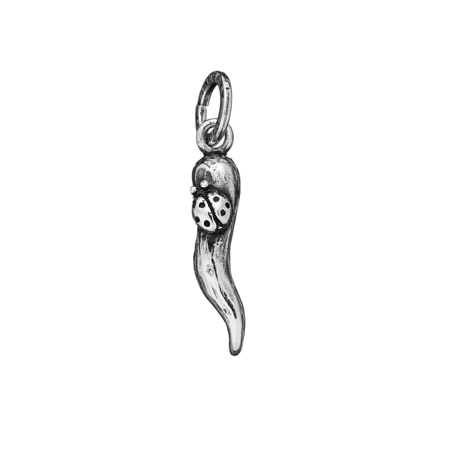 Charm Corno con Coccinella