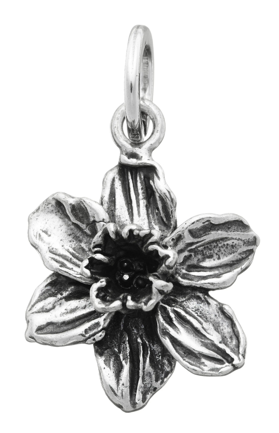 Charm Narciso - Charm in Argento 925