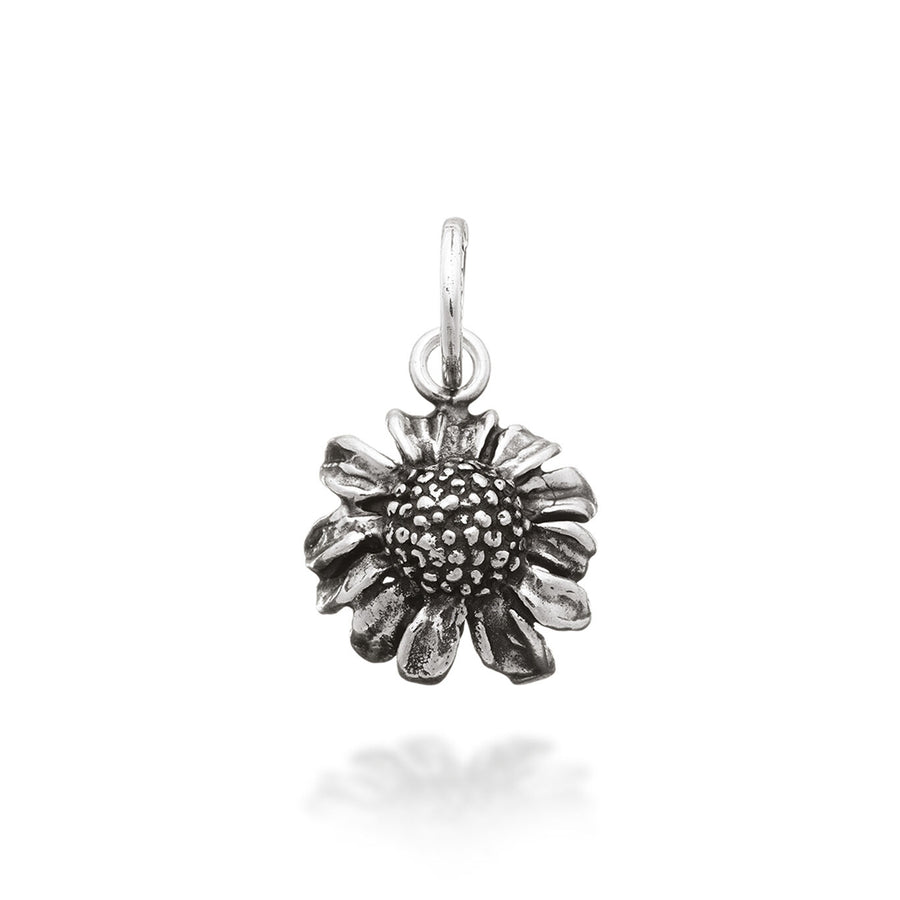 Charm Camomilla