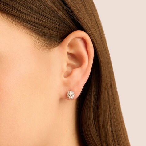 Orecchini Silver Elegance in argento con zircone ovale e contorno