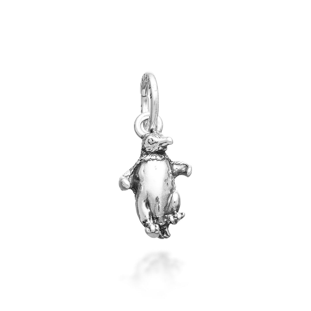 charm pinguino