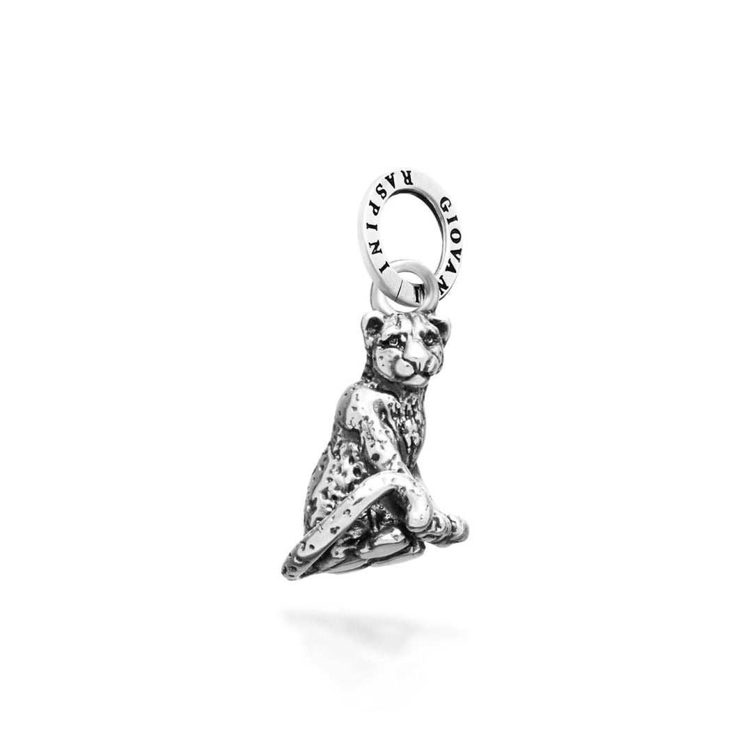 charm leopardo