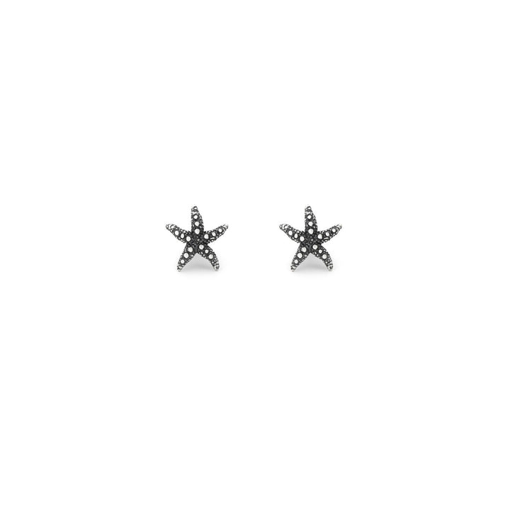 Orecchini Stella Marina Shine Mini