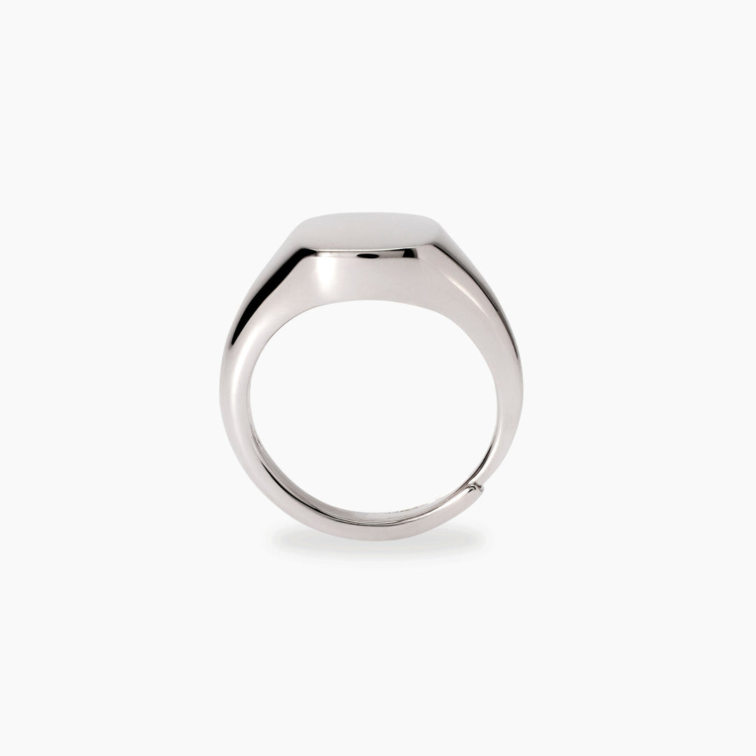 Anello chevalier NOBILE in bronzo e argento