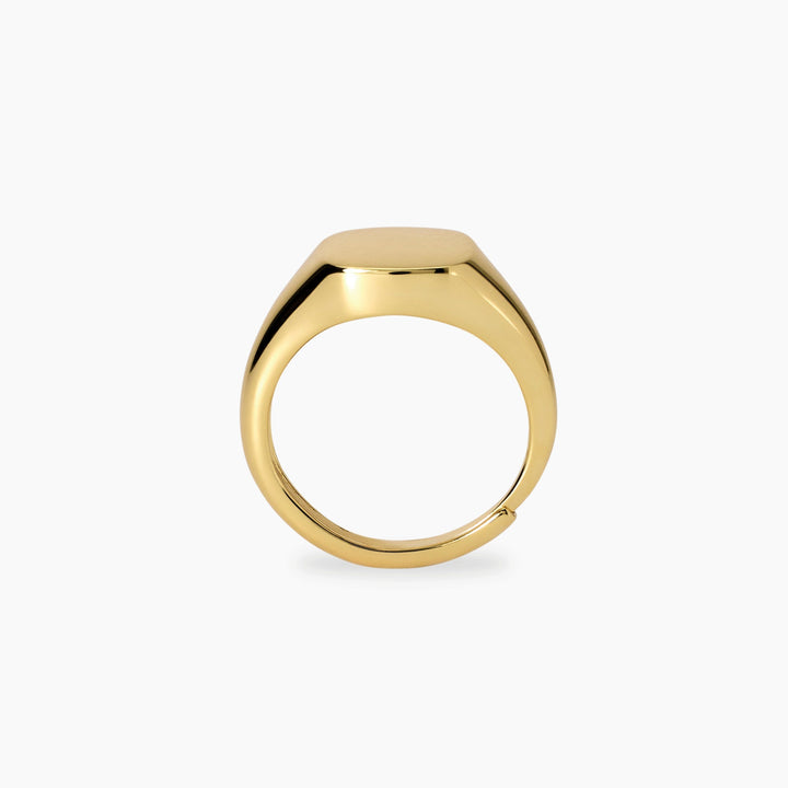 Anello chevalier NOBILE dorato