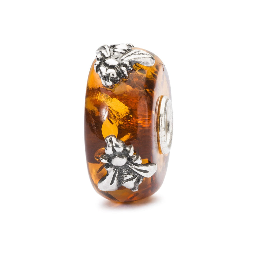 Trollbeads Bead Ali del Tempo con 2 Elementi in Argento