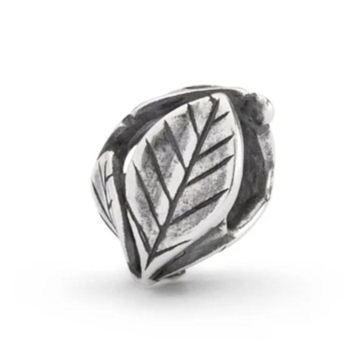 Trollbeads Bead E&