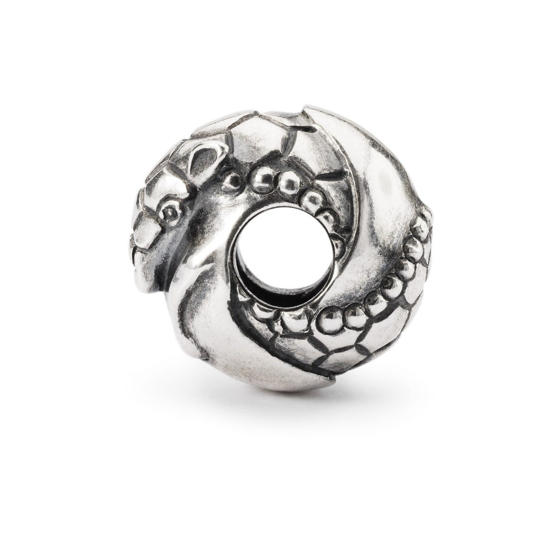 Trollbeads Bead Armadillo - dettaglio 2