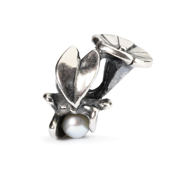 Trollbeads Bead Convolvolo di Settembre - Argento 925
