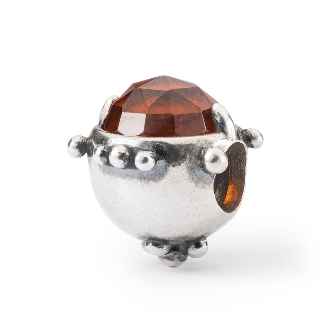 Trollbeads Bead Dono dell&