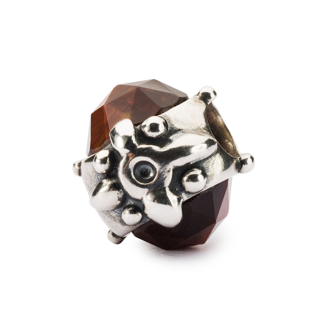 Trollbeads Bead Dono della Perseveranza - Argento 925
