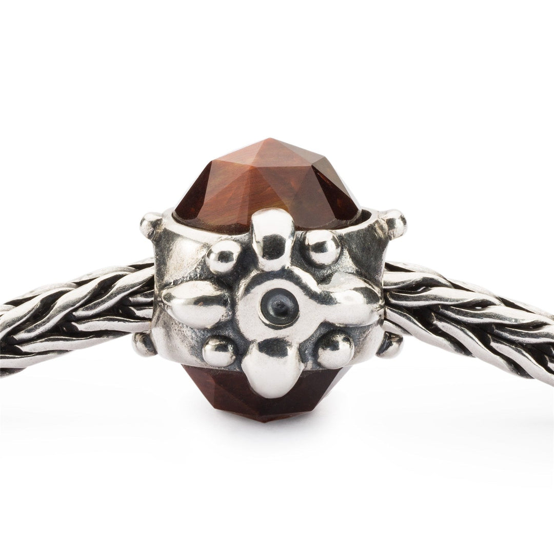 Trollbeads Bead Dono della Perseveranza - dettaglio 1