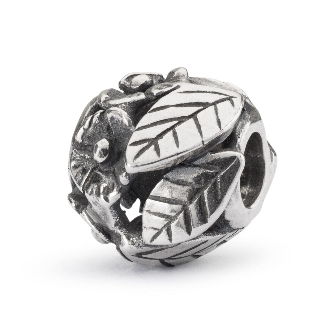 Trollbeads Bead Flower Power - Argento 925