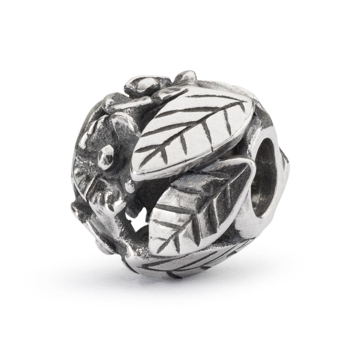 Trollbeads Bead Flower Power - Argento 925