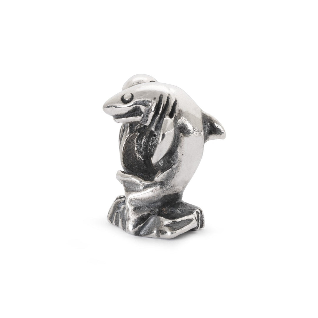 Trollbeads Bead La Cima di Cape Town - dettaglio 1