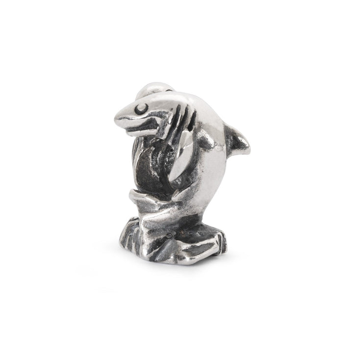 Trollbeads Bead La Cima di Cape Town - dettaglio 1