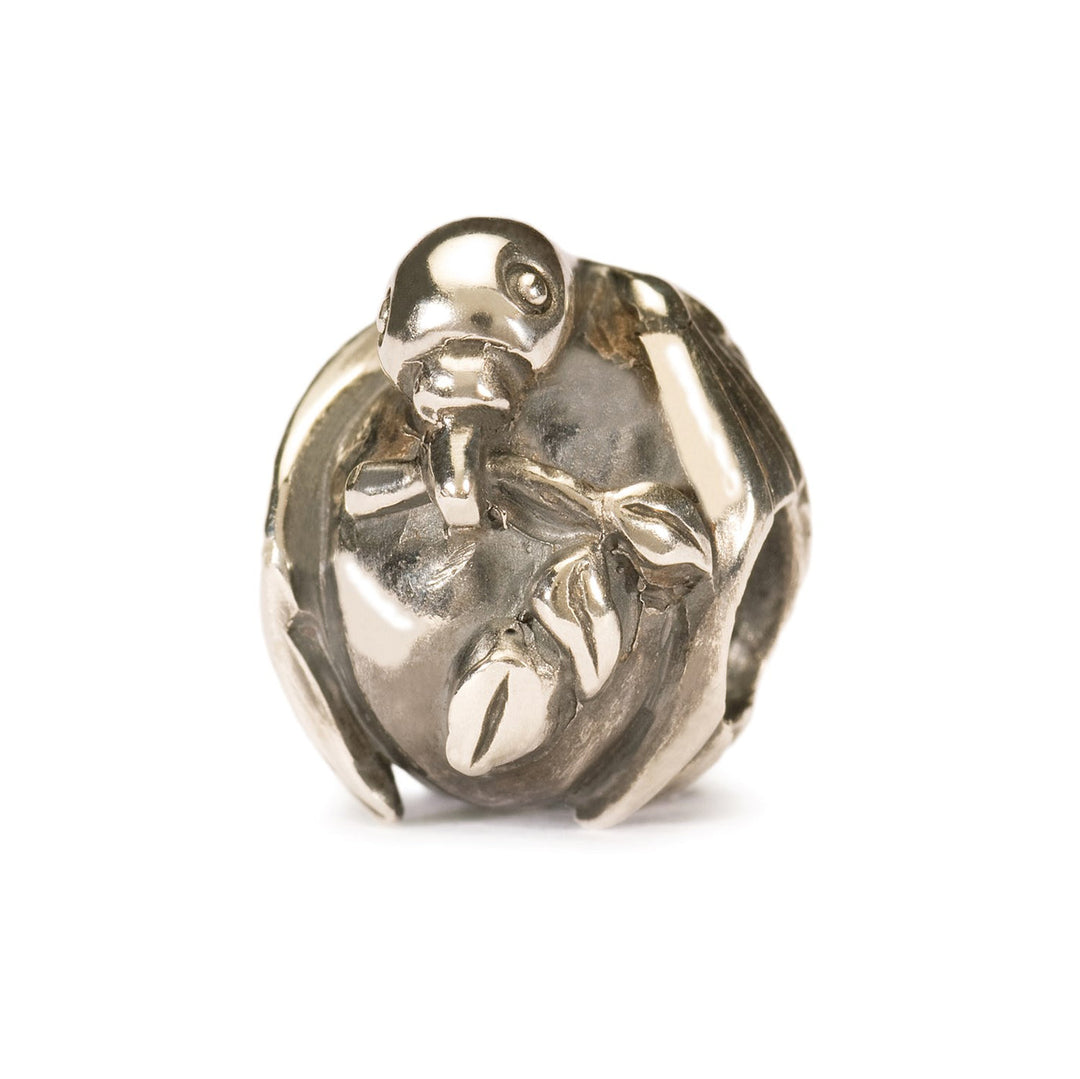Trollbeads Bead Pax - Argento 925