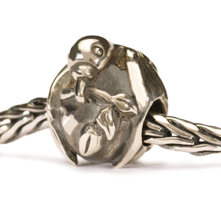 Trollbeads Bead Pax - dettaglio 1