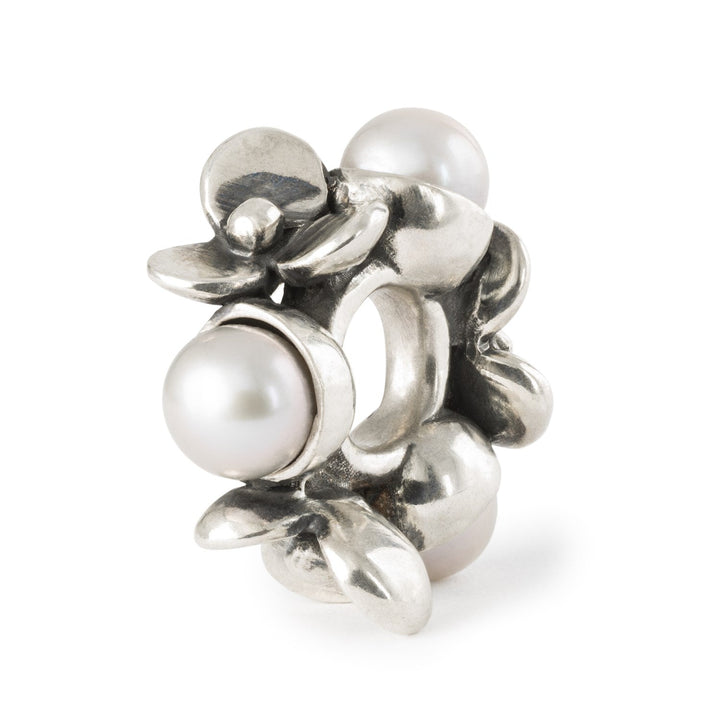 Trollbeads Bead Perle della Pazienza - Argento 925