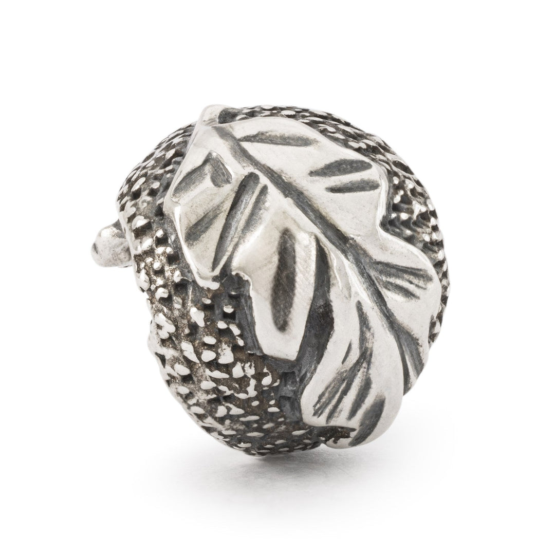Trollbeads Bead Riccio della Protezione - dettaglio 2