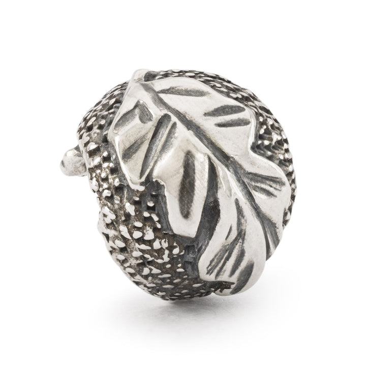 Trollbeads Bead Riccio della Protezione - dettaglio 2