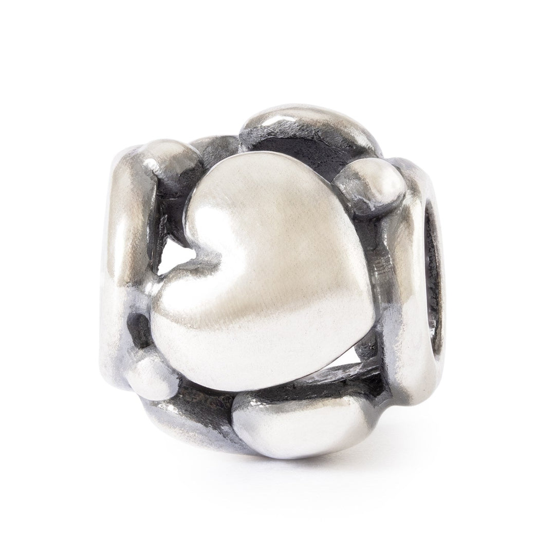 Trollbeads Bead Sempre Vicini - dettaglio 1