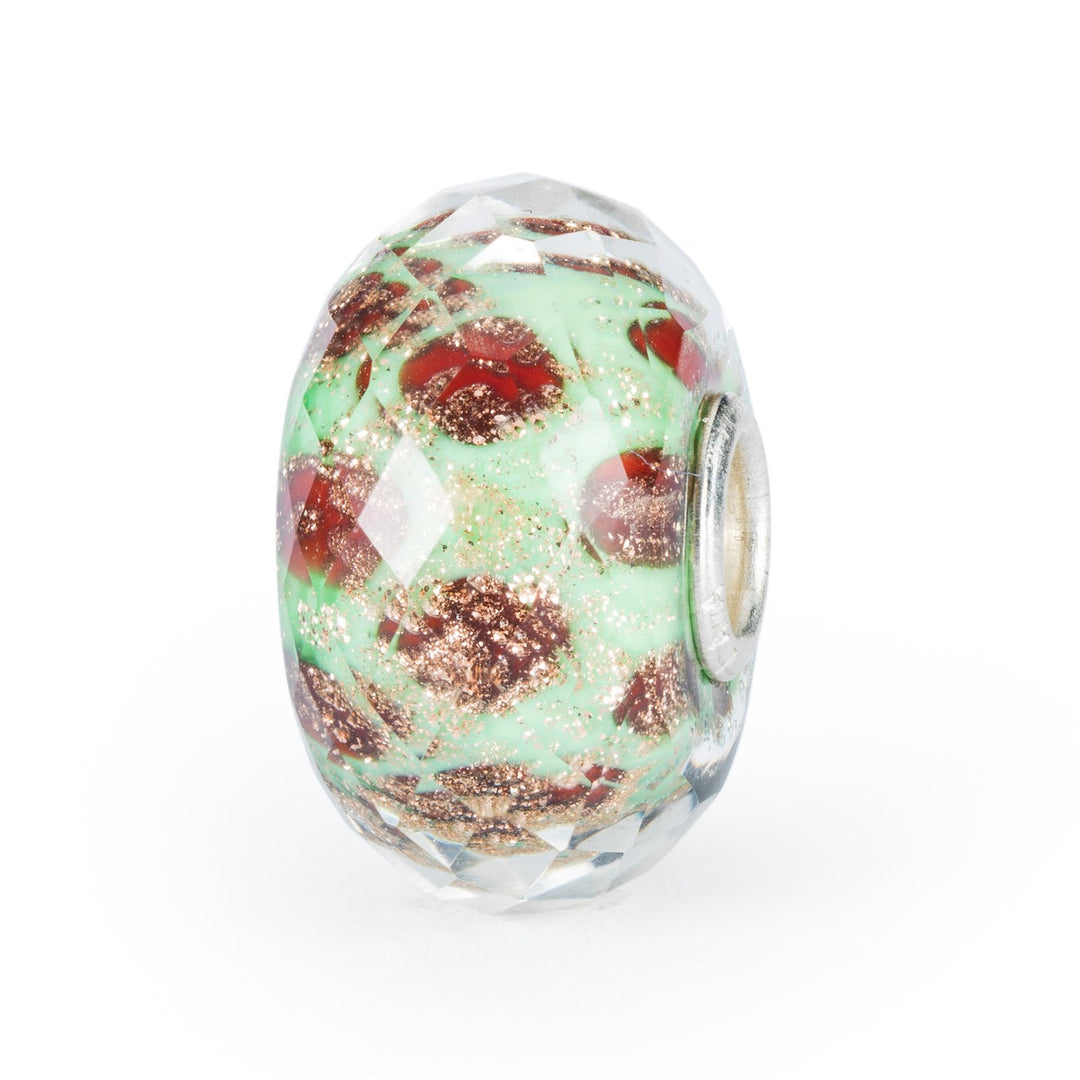 Trollbeads Bead Set Connessioni sfaccettato - dettaglio 1
