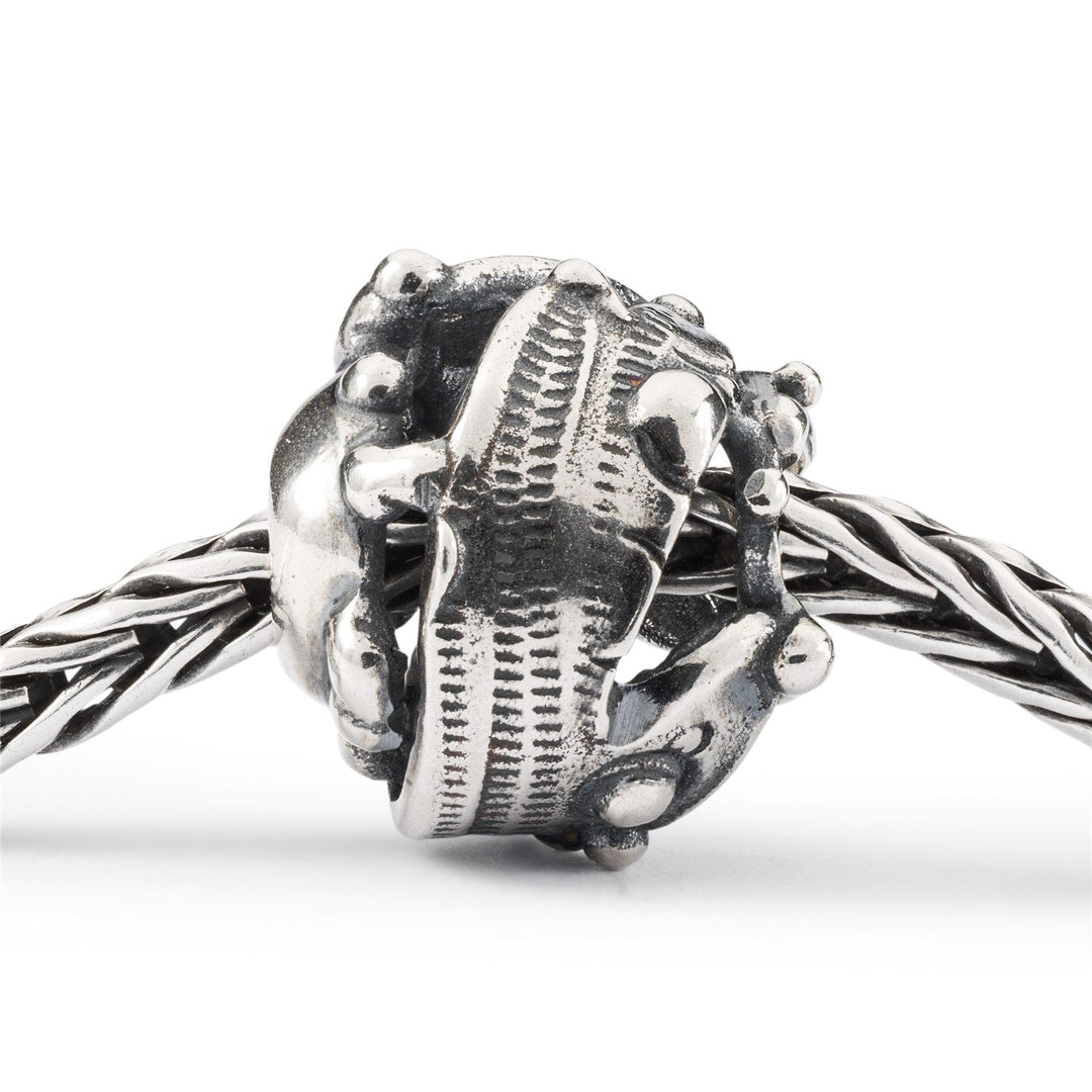 Trollbeads Bead Terra Promessa - dettaglio 1
