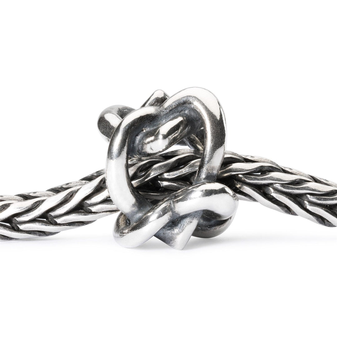 Trollbeads Bead Uniti per Sempre - dettaglio 3