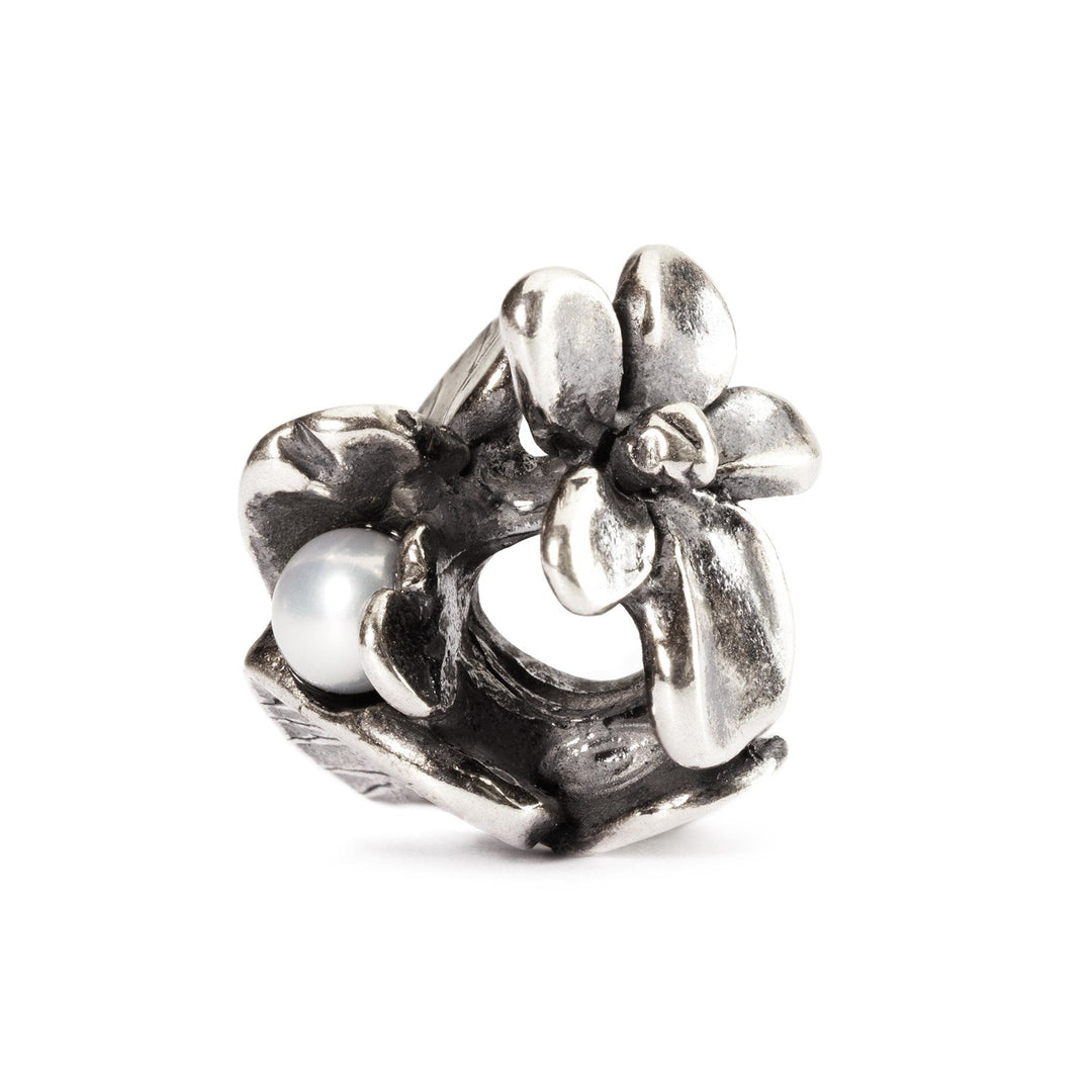 Trollbeads Bead Viola di Febbraio - Argento 925