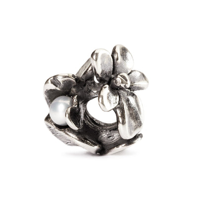 Trollbeads Bead Viola di Febbraio