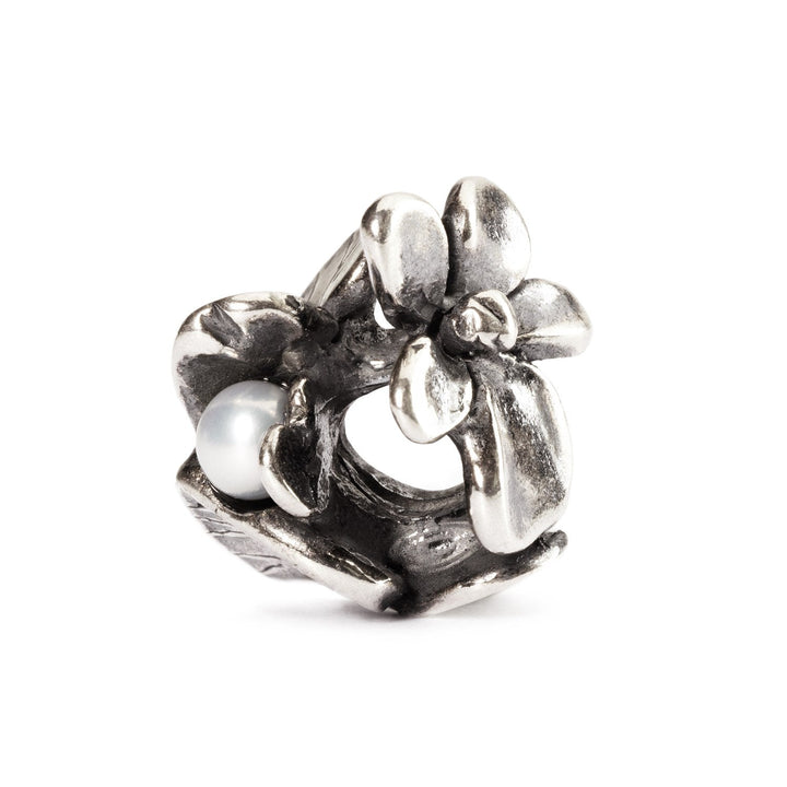 Trollbeads Bead Viola di Febbraio - Argento 925